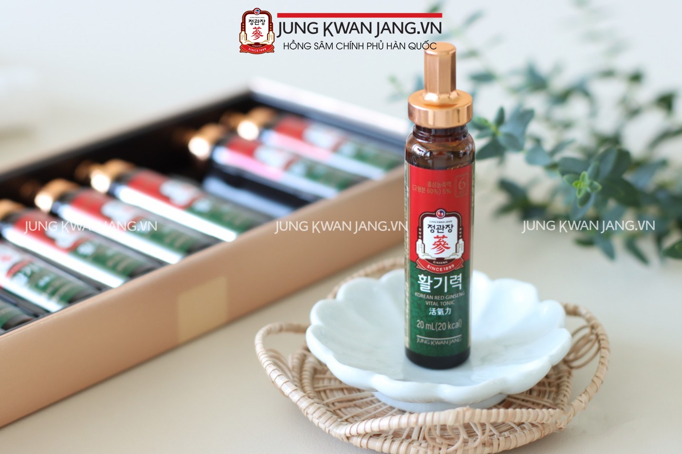 Nước Hồng Sâm Jung Kwan Jang Vital Tonic 10 ống x 20ml | Jung Kwan Jang | Jungkwanjang.vn