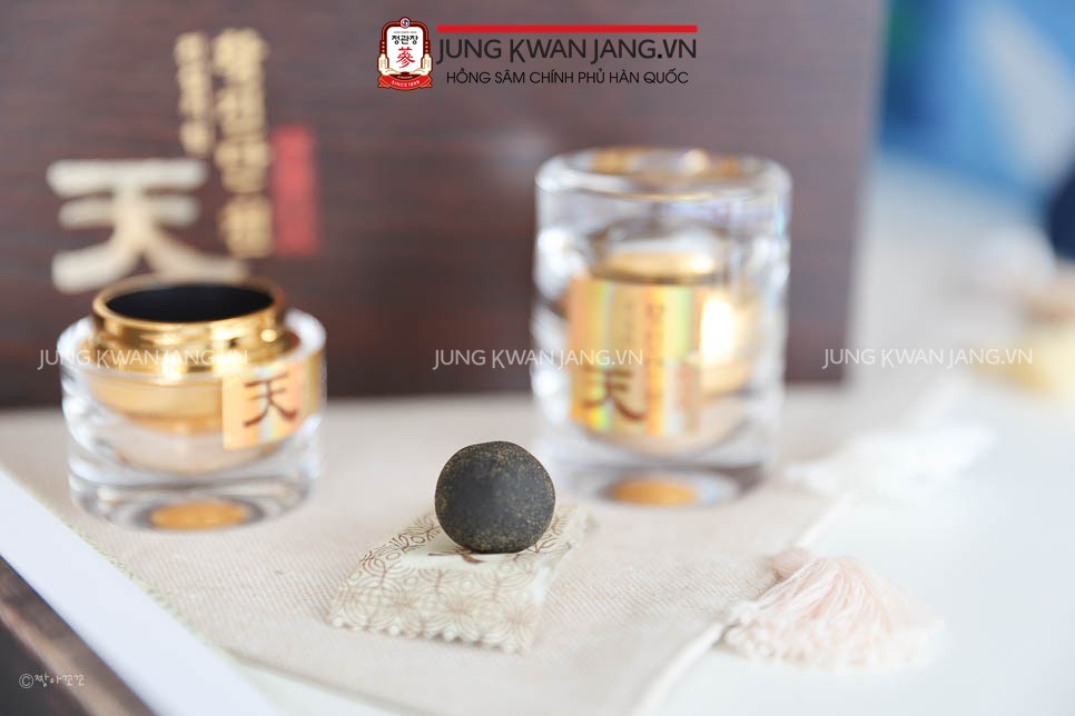 Hình Ảnh Chi Tiết Về Viên Thiên Sâm Linh Đan Jung Kwan Jang Hwang Jin Đan 4g x 20 viên | Jung Kwan Jang | Jungkwanjang.vn